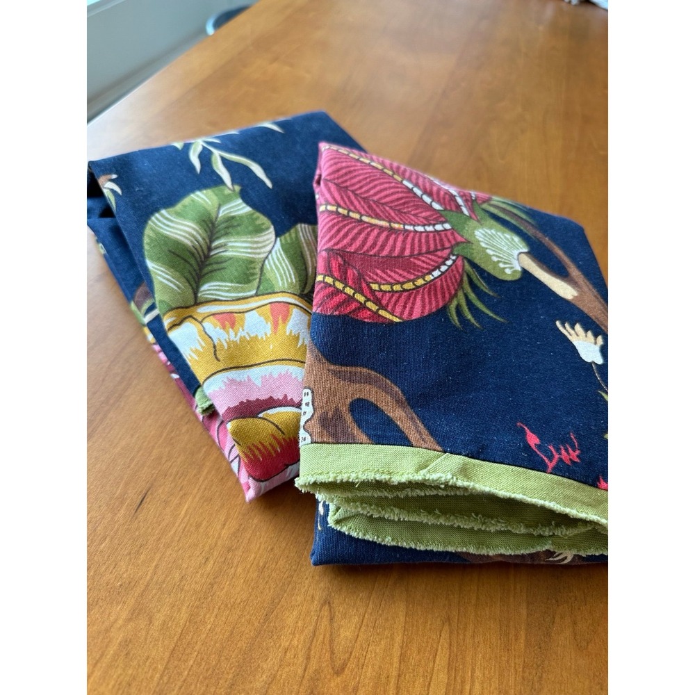 Pair of pottery barn euro shams